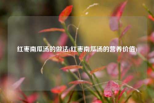 红枣南瓜汤的做法(红枣南瓜汤的营养价值)