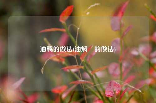 油鸭的做法(油焖芛的做法)
