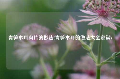 青笋木耳肉片的做法(青笋木耳的做法大全家常)