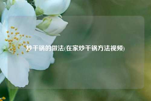 炒干锅的做法(在家炒干锅方法视频)