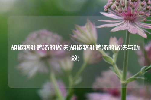胡椒猪肚鸡汤的做法(胡椒猪肚鸡汤的做法与功效)