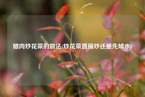 腊肉炒花菜的做法(炒花菜直接炒还是先焯水)