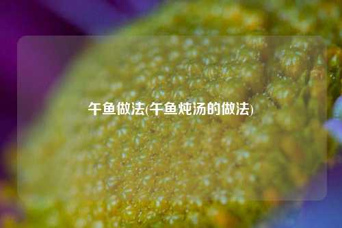 午鱼做法(午鱼炖汤的做法)