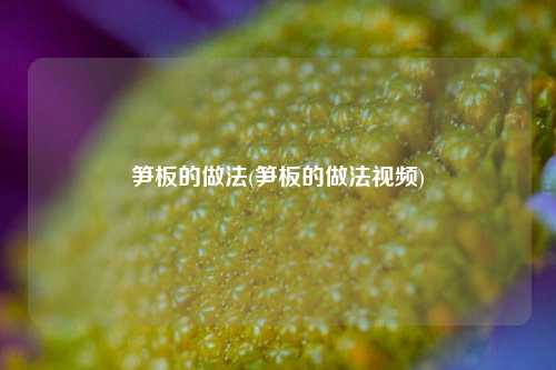 笋板的做法(笋板的做法视频)