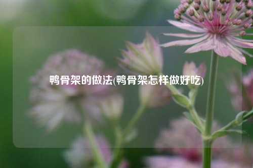 鸭骨架的做法(鸭骨架怎样做好吃)