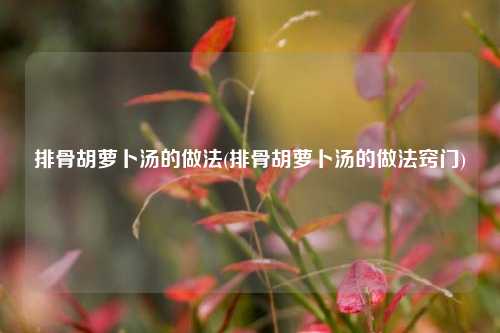 排骨胡萝卜汤的做法(排骨胡萝卜汤的做法窍门)