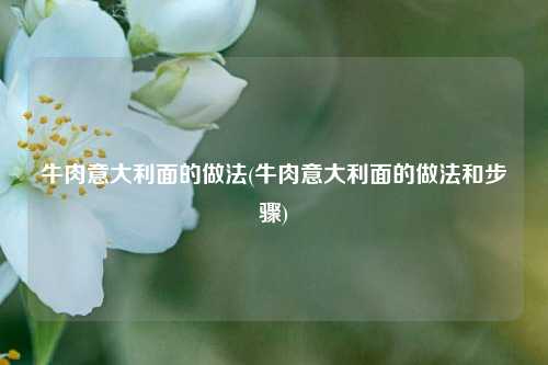 牛肉意大利面的做法(牛肉意大利面的做法和步骤)