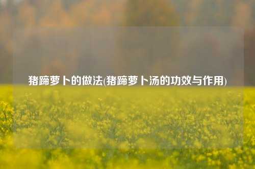 猪蹄萝卜的做法(猪蹄萝卜汤的功效与作用)