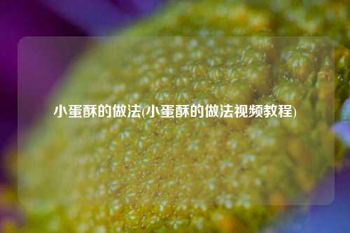 小蛋酥的做法(小蛋酥的做法视频教程)