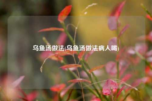 乌鱼汤做法(乌鱼汤做法病人喝)