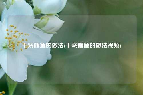 干烧鲤鱼的做法(干烧鲤鱼的做法视频)
