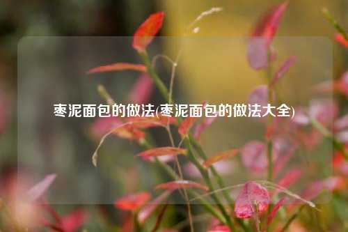 枣泥面包的做法(枣泥面包的做法大全)
