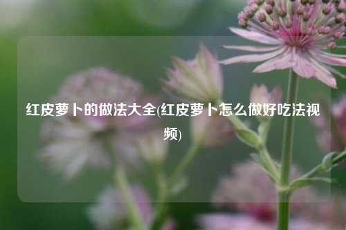 红皮萝卜的做法大全(红皮萝卜怎么做好吃法视频)
