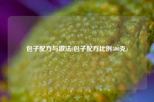 包子配方与做法(包子配方比例500克)