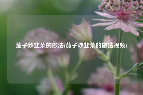 茄子炒韭菜的做法(茄子炒韭菜的做法视频)